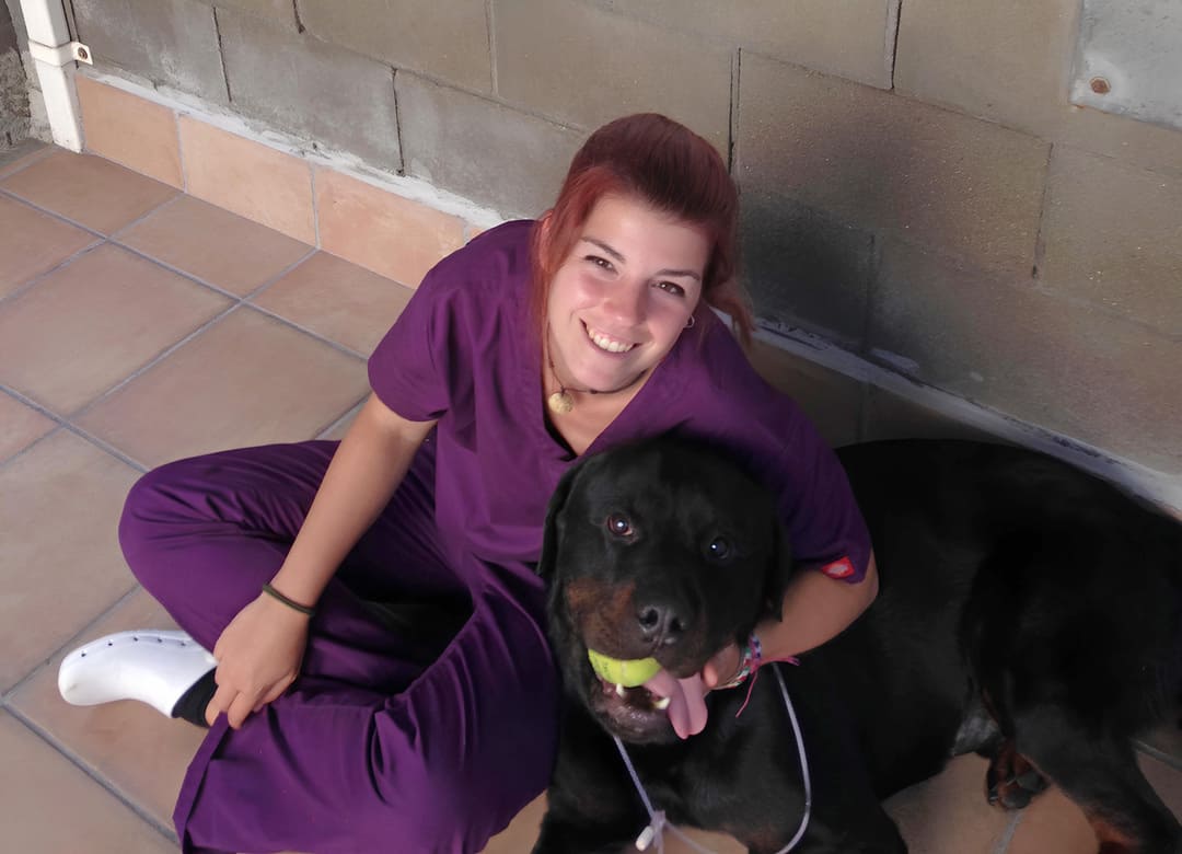 Cuidadora de mascotas ATV en Madrid