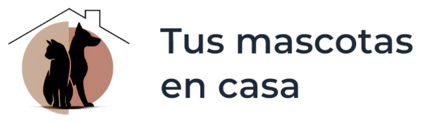 Tus mascotas en casa - Catsitter y Dogsitter en Madrid